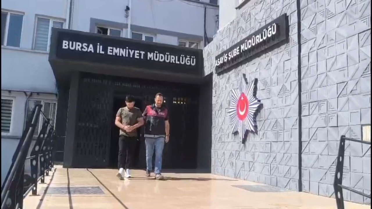 250 saatlik kamera kaydı izlediler, inşaat farelerini böyle çözdüler