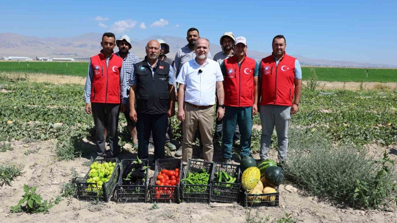 NÖHÜ’de 51 bin fideyle üretilen ürünlerin hasadı yapıldı