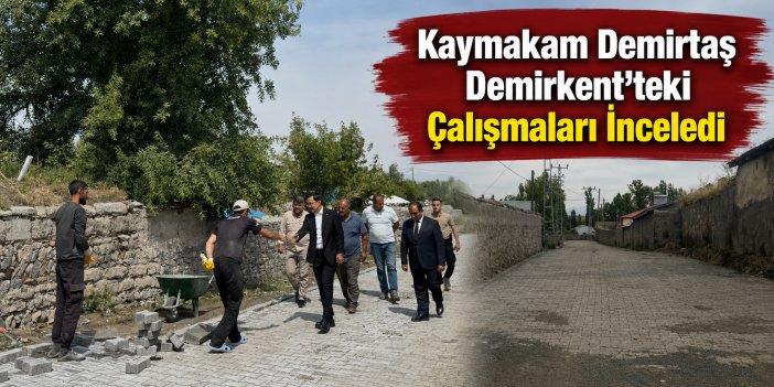 Kaymakam Demirtaş Demirkent’teki Çalışmaları İnceledi