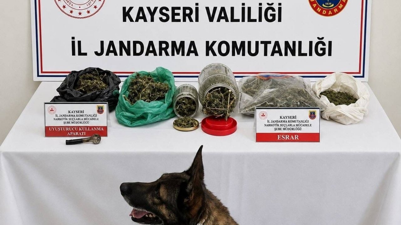 Jandarma operasyonunda bin 200 gram uyuşturucu ele geçirildi