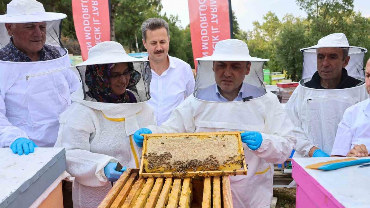Bilecik’te 22 bin 500 kovandan 135 ton bal üretiliyor