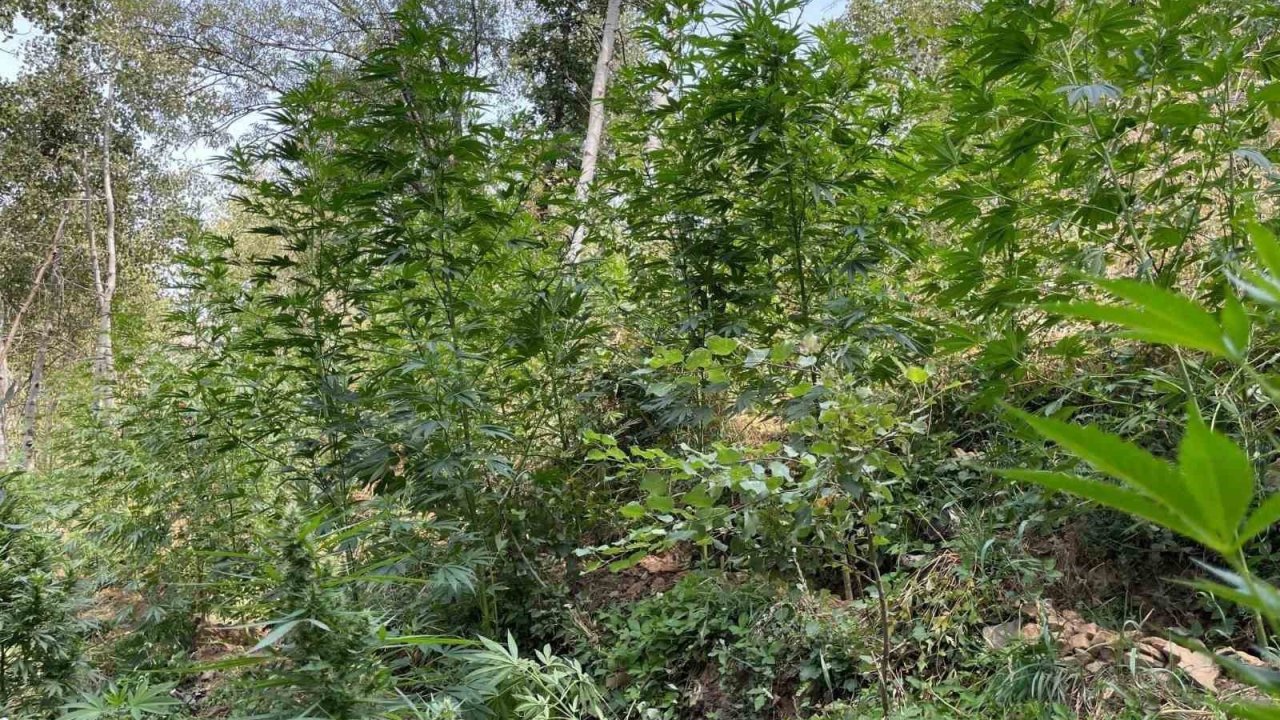 Bingöl’de jandarmadan huzur ve güvenlik çalışmaları