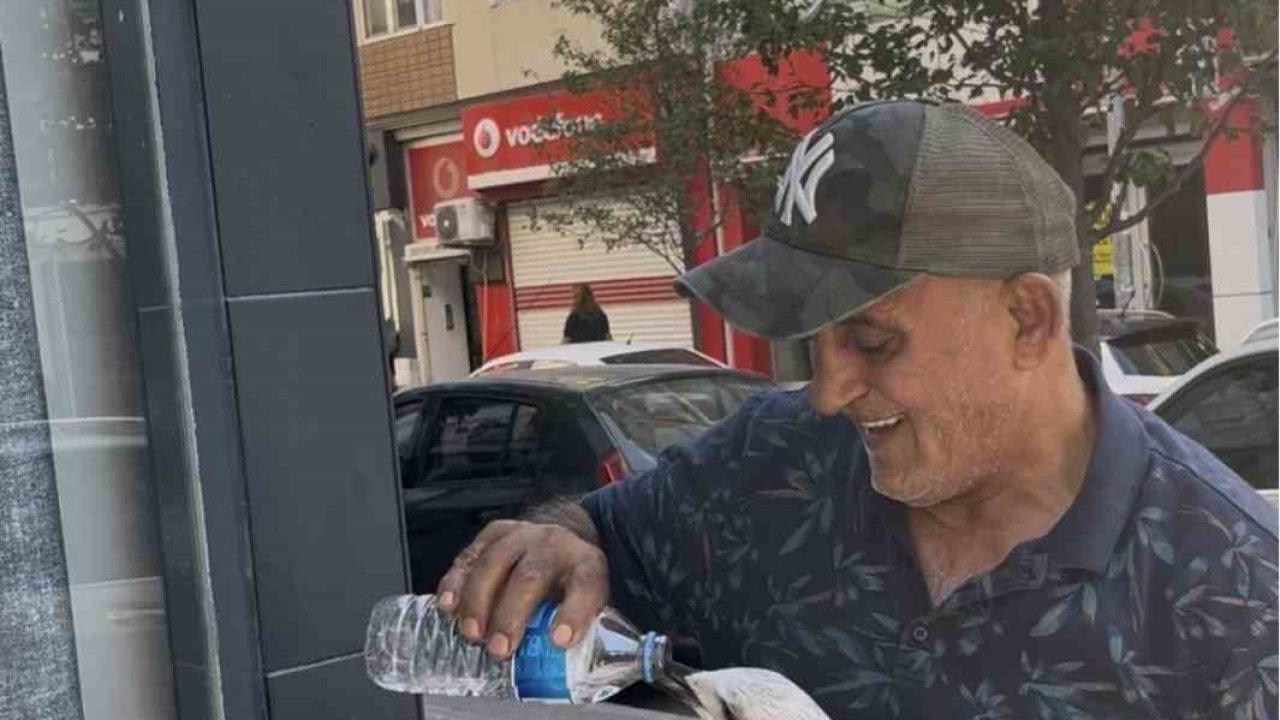 Tekirdağ’da bitkin düşen martı kolunu ısırdı şefkatini eksik etmedi