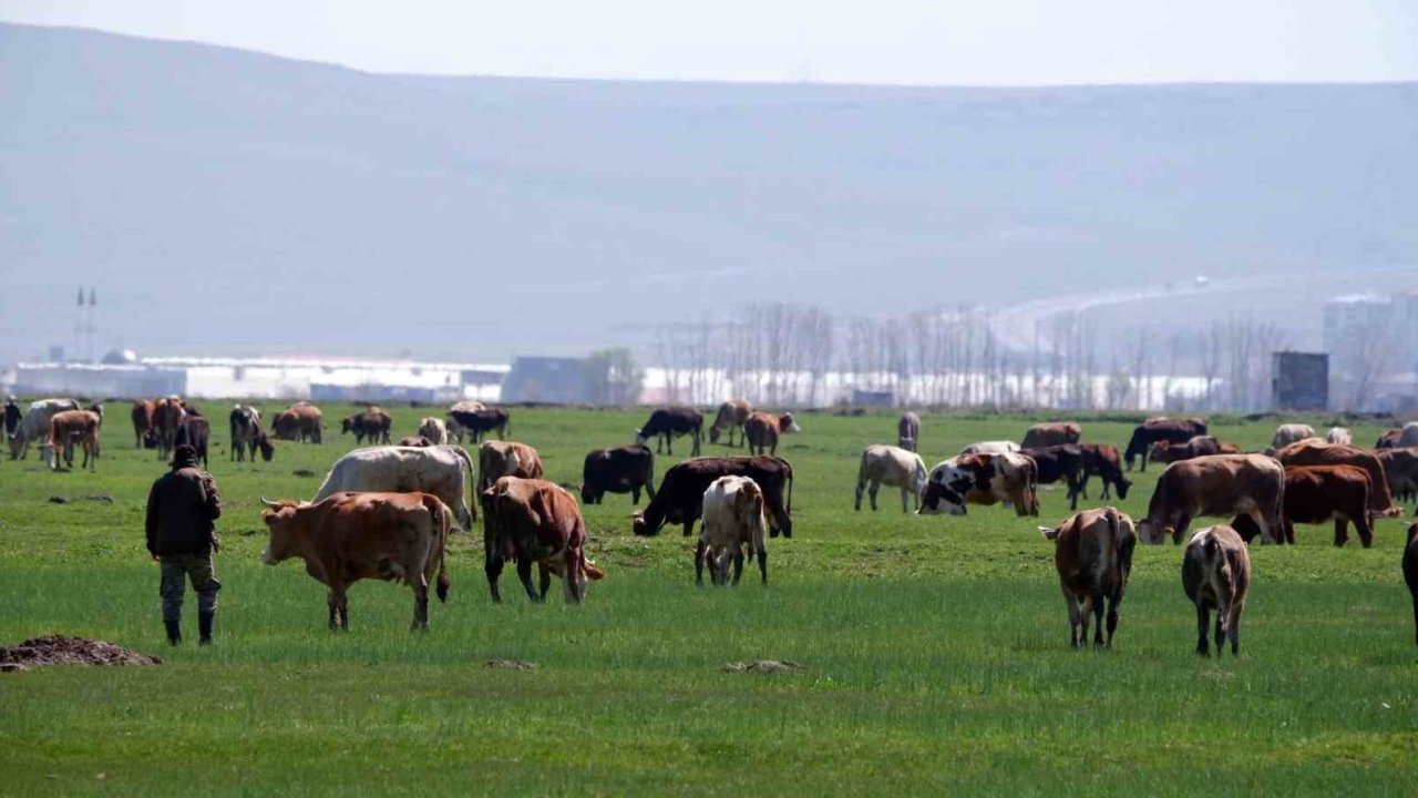 Tarımda üreticilere destekleme çağrısı