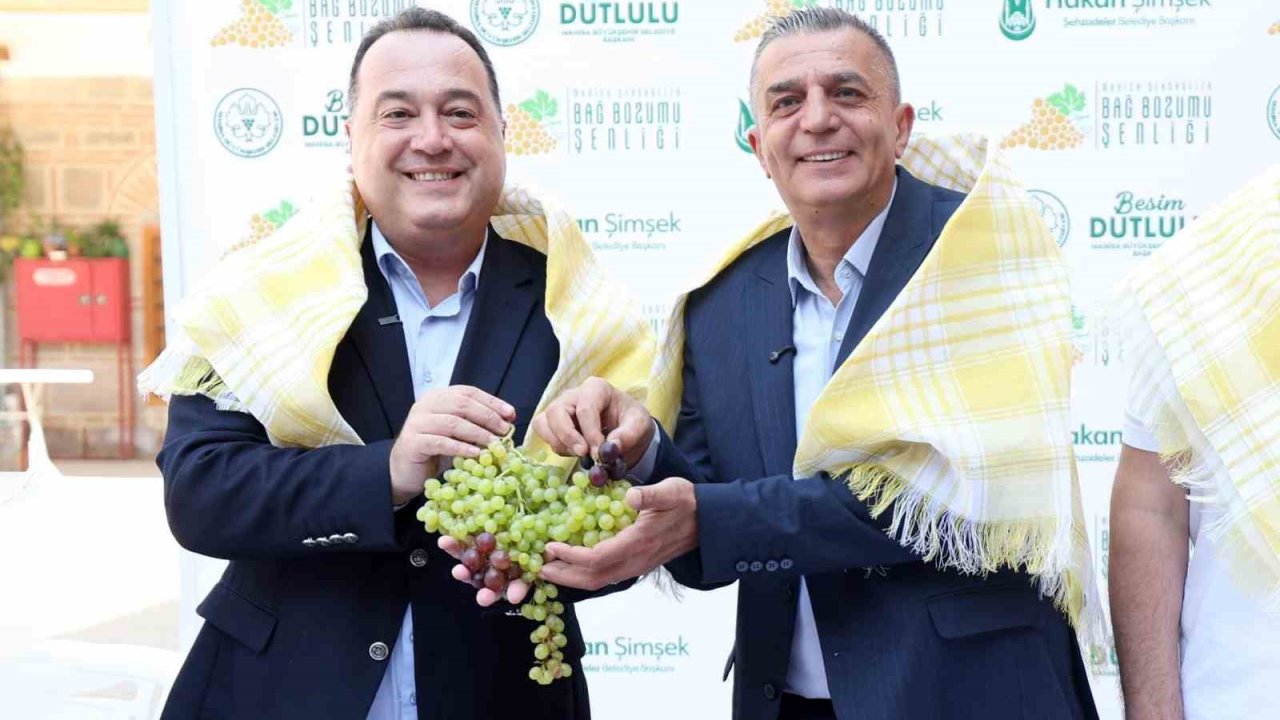 Şehzadeler’de 4 gün sürecek bağ bozumu coşkusu başlıyor