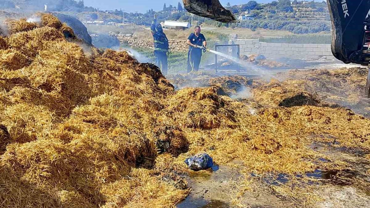 Tarsus’ta saman balyalarının olduğu alanda yangın