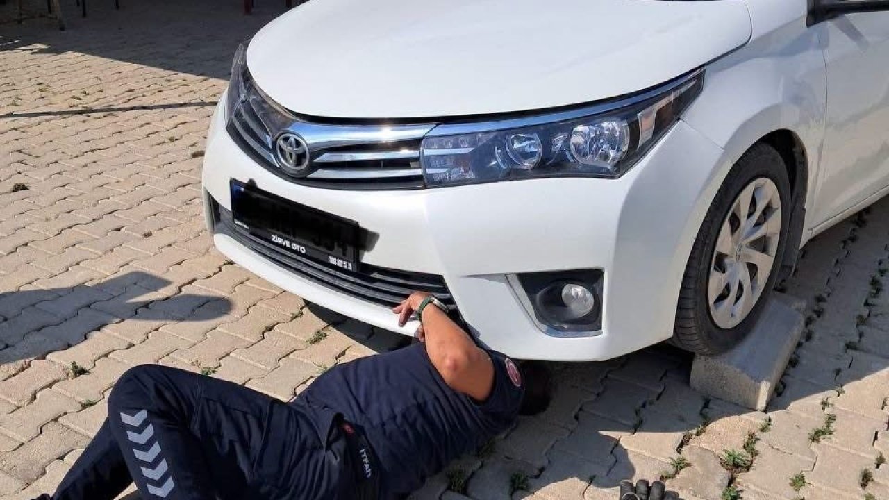 Antakya ve İskenderun’da araçlarda mahsur kalan kediler kurtarıldı