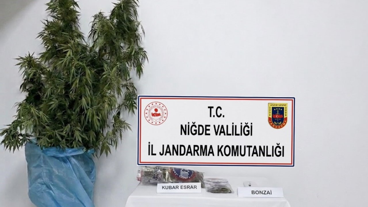 Niğde’nin Bor ilçesinde uyuşturucu operasyonu