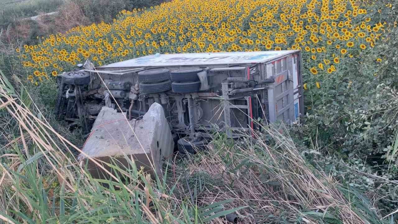 Kamyonet ayçiçeği tarlasına uçtu