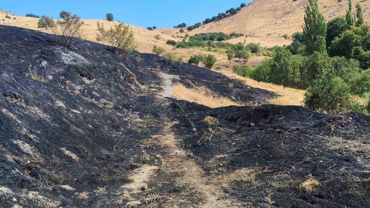 Diyarbakır’da anız yangını
