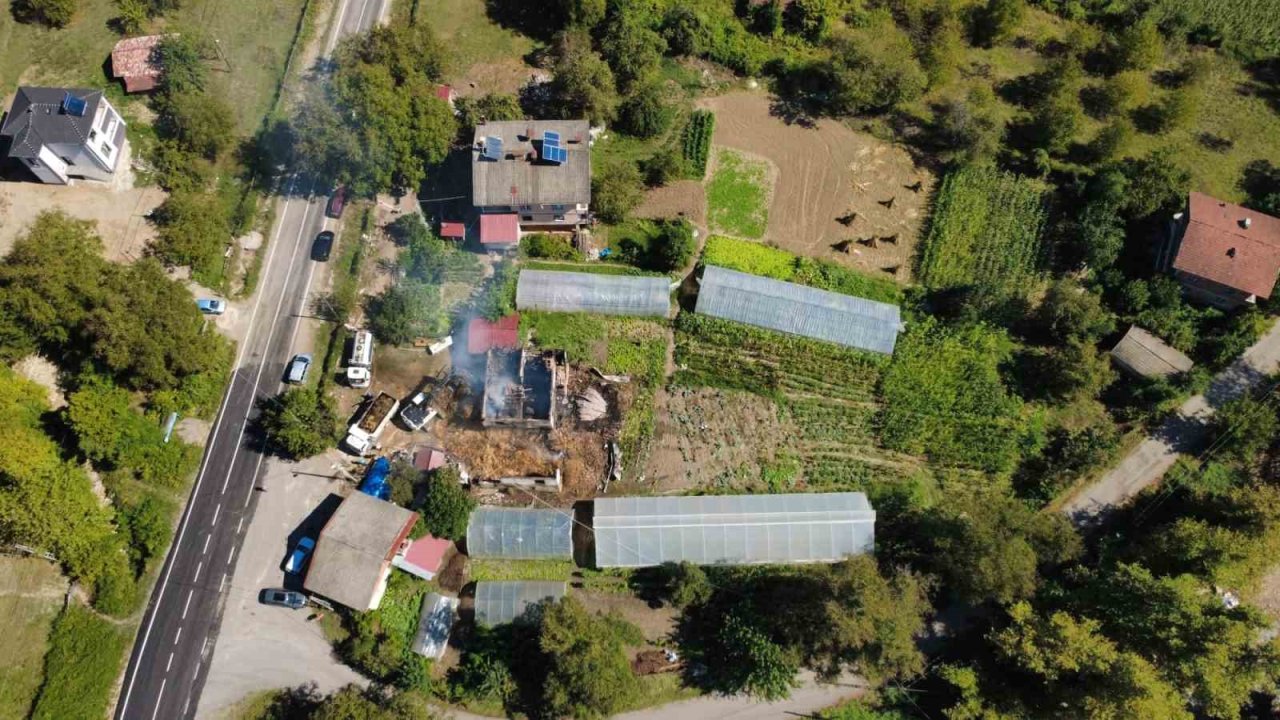 Bartın’da ahırda çıkan yangında 9 büyükbaş telef oldu