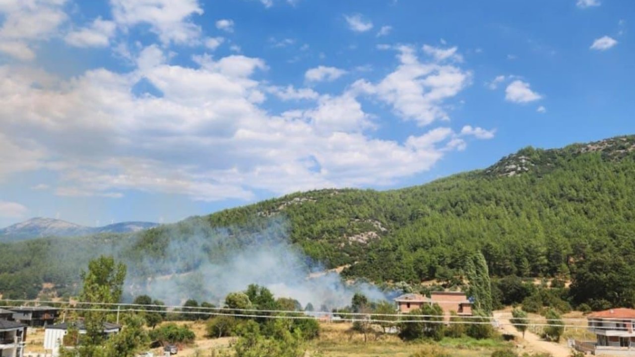 Menteşe’de otluk alanda yangın