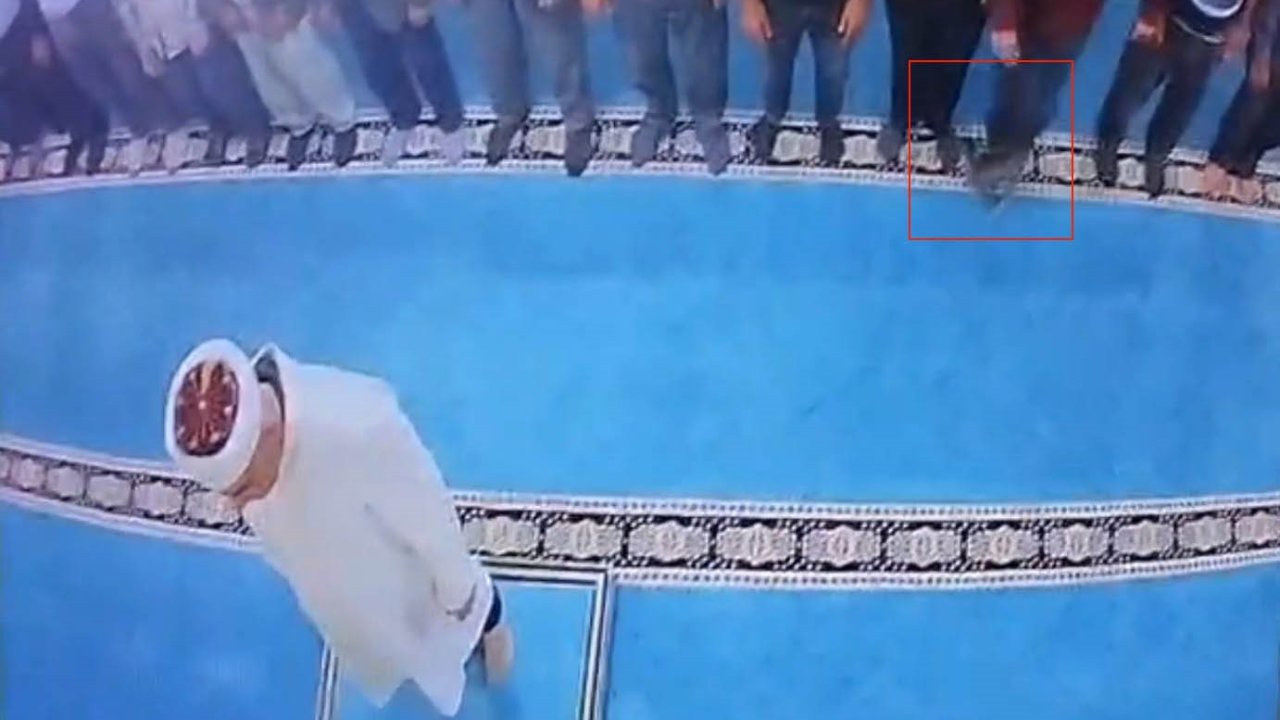 Camide kediyi tekmeleyen şahıs gözaltında, hayvan severler kediyi arıyor