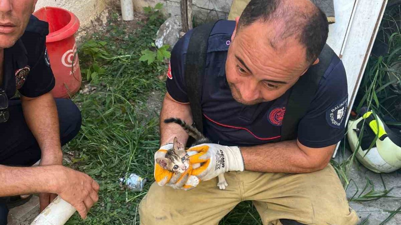 Erdek’te iki bina arasına sıkışan yavru kedi kurtarıldı