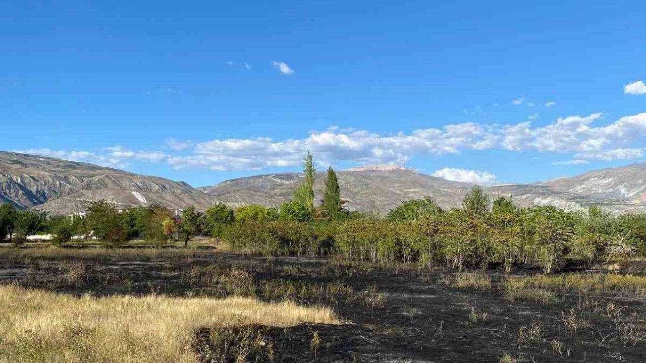 Erzincan’da anız yangını büyümeden söndürüldü