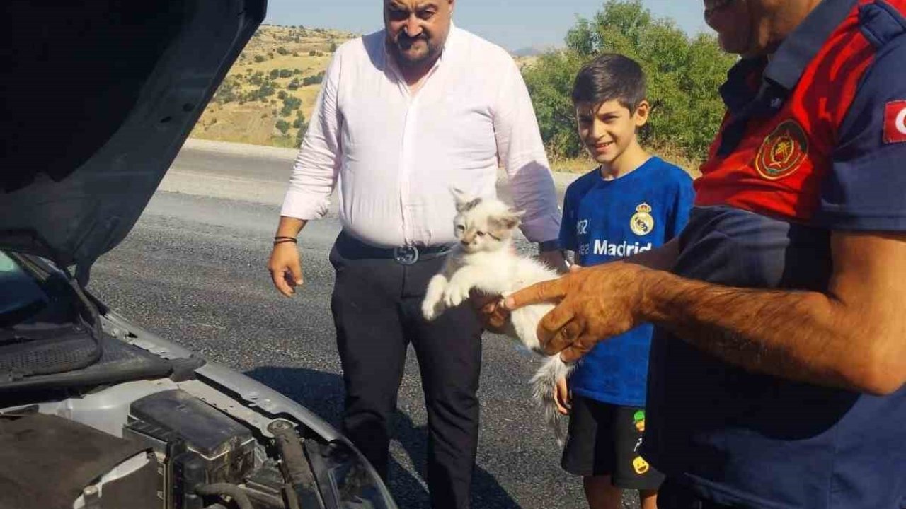 Otomobilin motoruna sıkışan kedi kurtarıldı