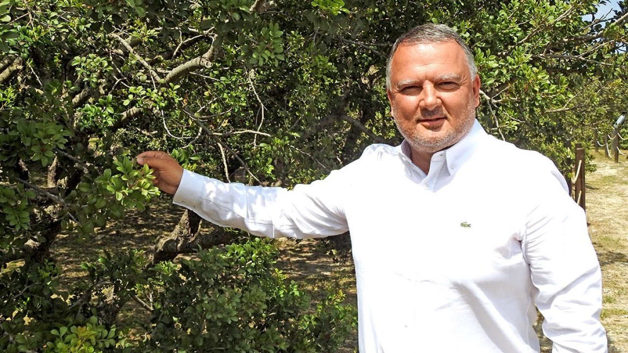 Çeşme damla sakızı uluslararası bilimsel yayına konu oldu