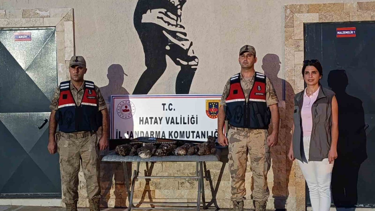 Hatay’da 7 arı şahini avlayan şahsa ceza yağdı
