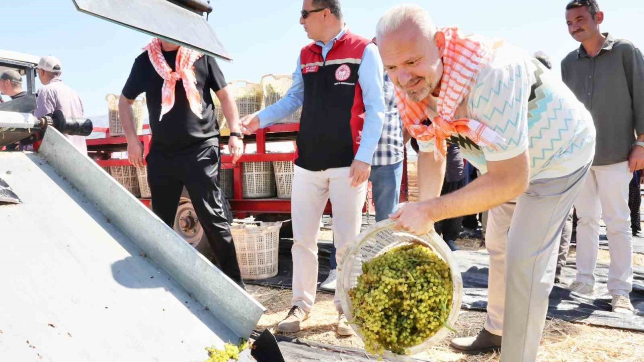 Menemen’de ’Bağ Bozumu’ coşkusu