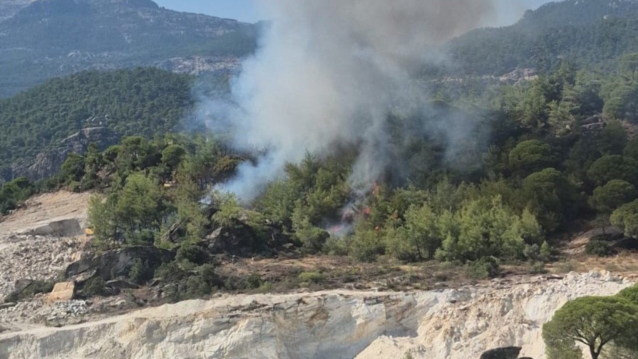 Milas’ta orman yangını