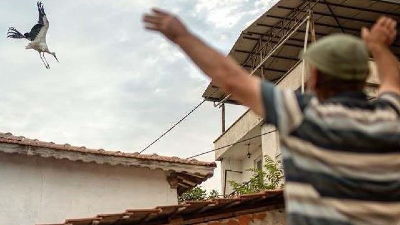 Yaren leyleğin vedası yürek burktu
