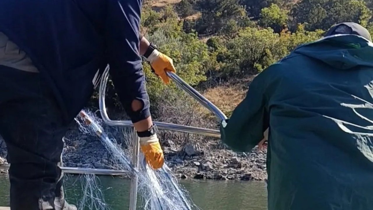 Sinop’ta kaçak avcılığa karşı kararlı mücadele