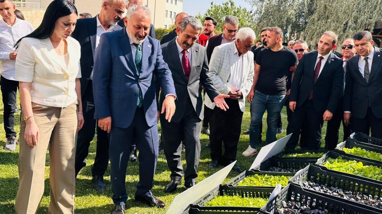Şırnak’ta üreticilere 152 bin sebze fidesi ve çoban çantası dağıtıldı