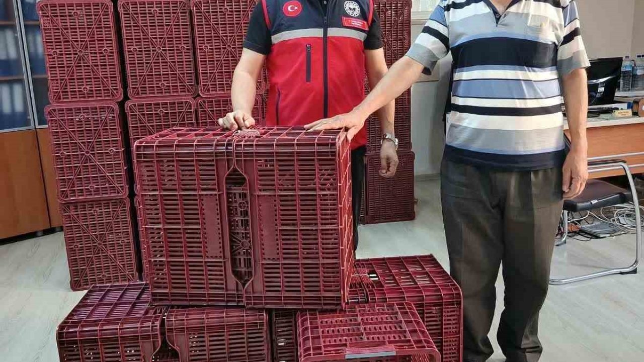 Köşk’te incir üreticilerine hibeli kasa desteği