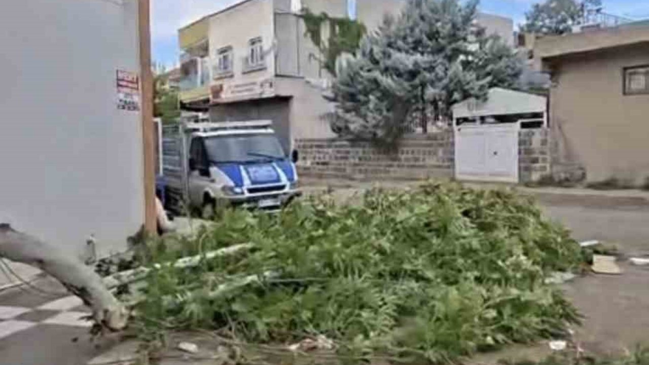 Siverek’te etkili olan fırtına, tarlada çalışan işçilere zor anlar yaşattı