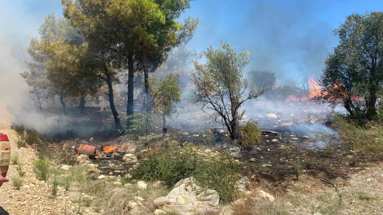 Antalya’da  zirai alanda çıkan yangın büyümeden söndürüldü