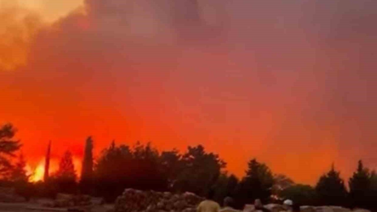 Menteşe’de orman yangını