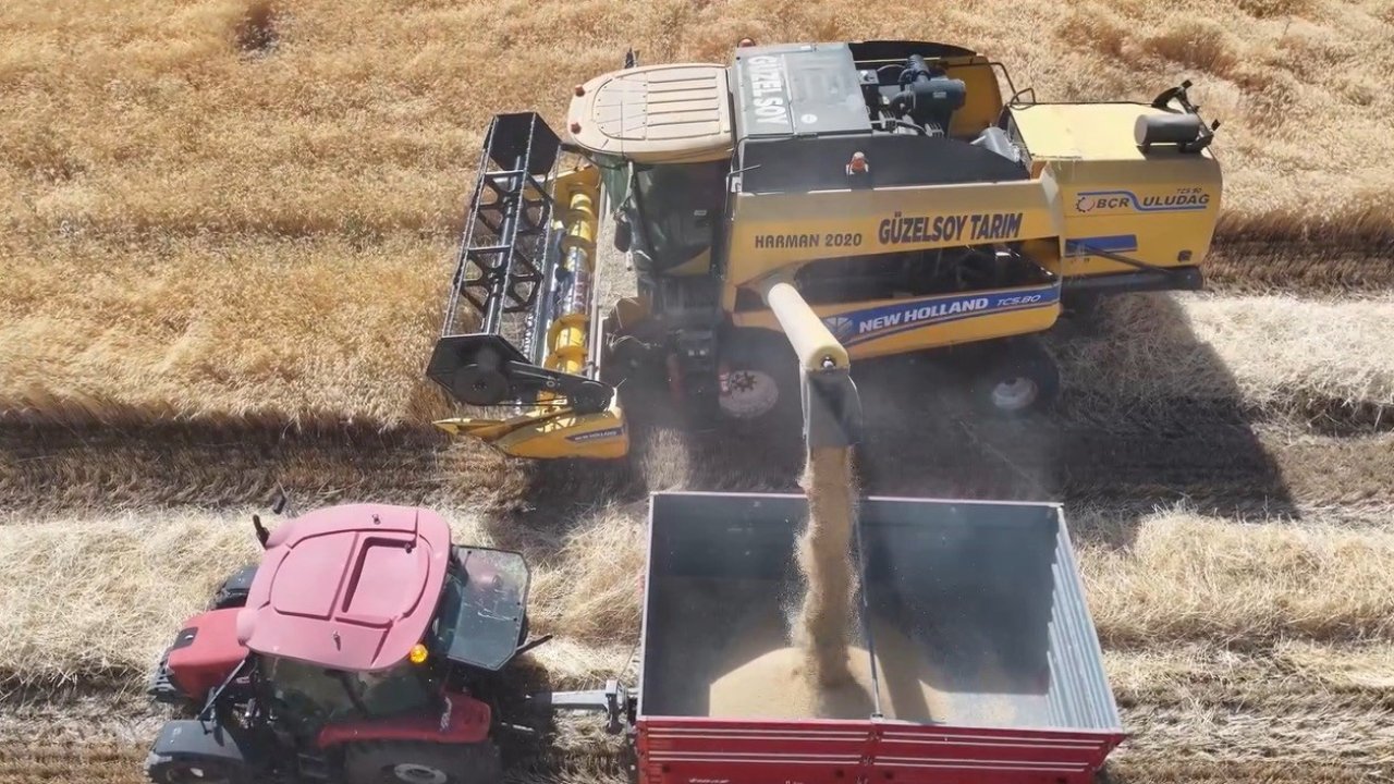 Erzincan’da baraj ve sulama suları tarlaları bereketle buluşturuyor
