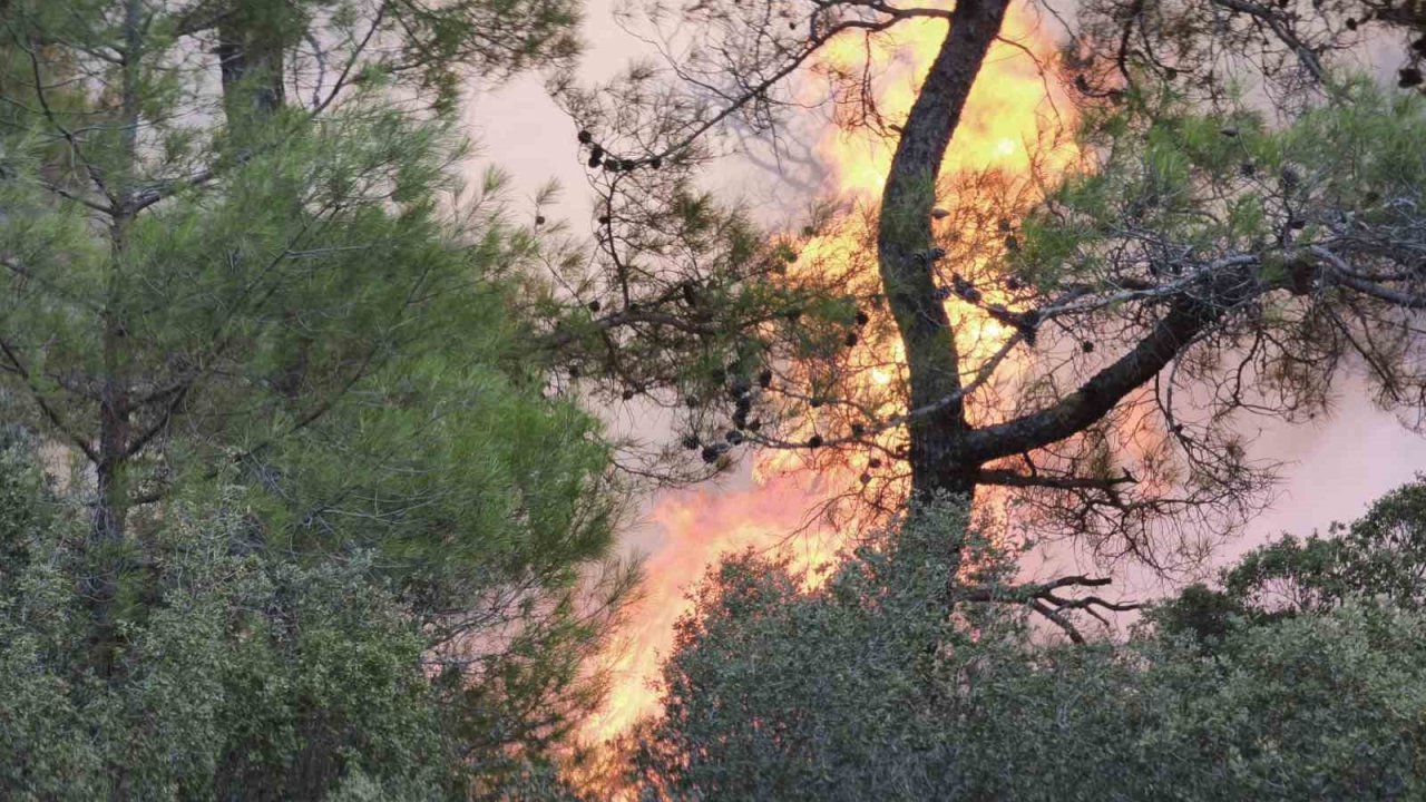 Muğla’daki orman yangınına müdahale devam ediyor