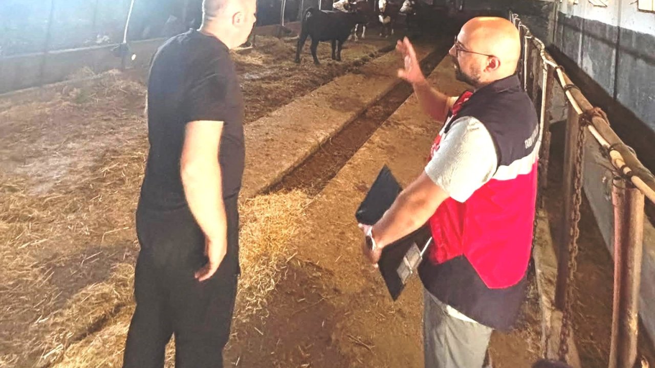 Tavşanlı’da Destek Projesi kapsamındaki ithal hayvanlar kontrolden geçirildi