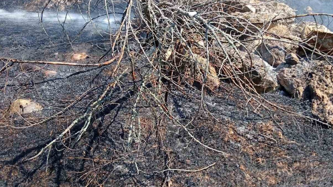 Bilecik’te köy yakınında ot yangını