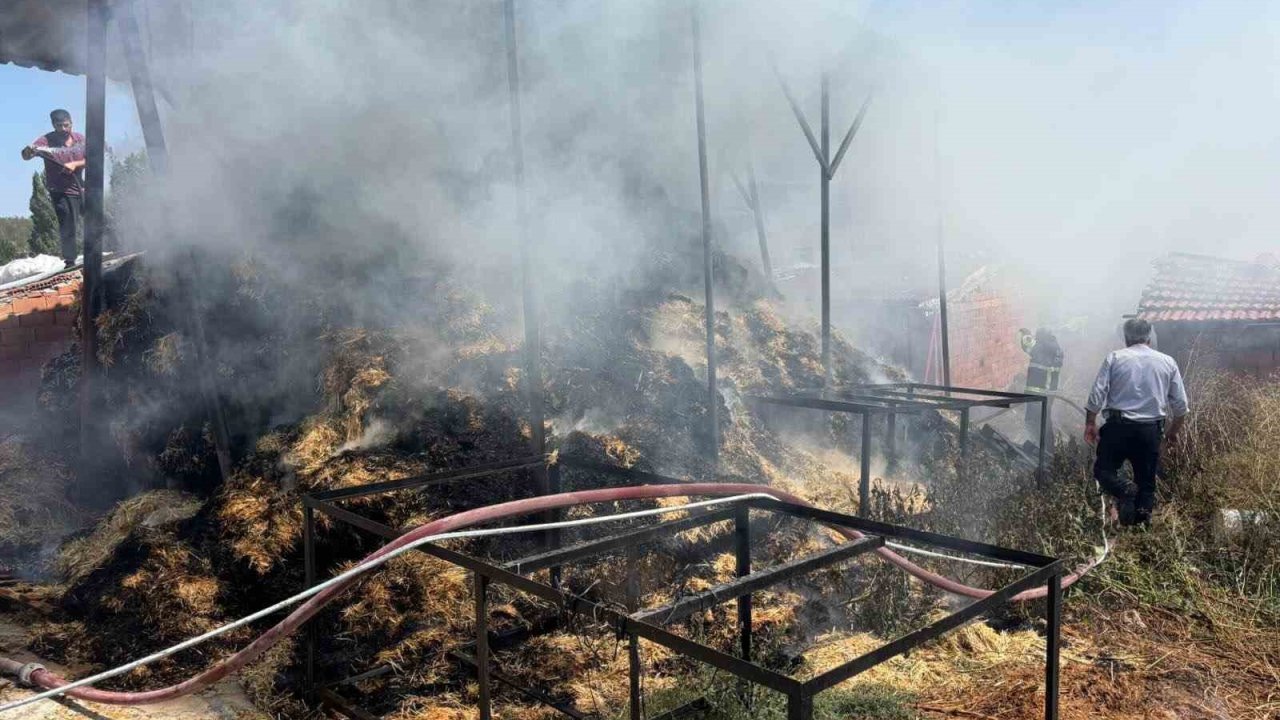 Bilecik’te iki köyde çıkan yangında çok miktarda saman balyası yandı