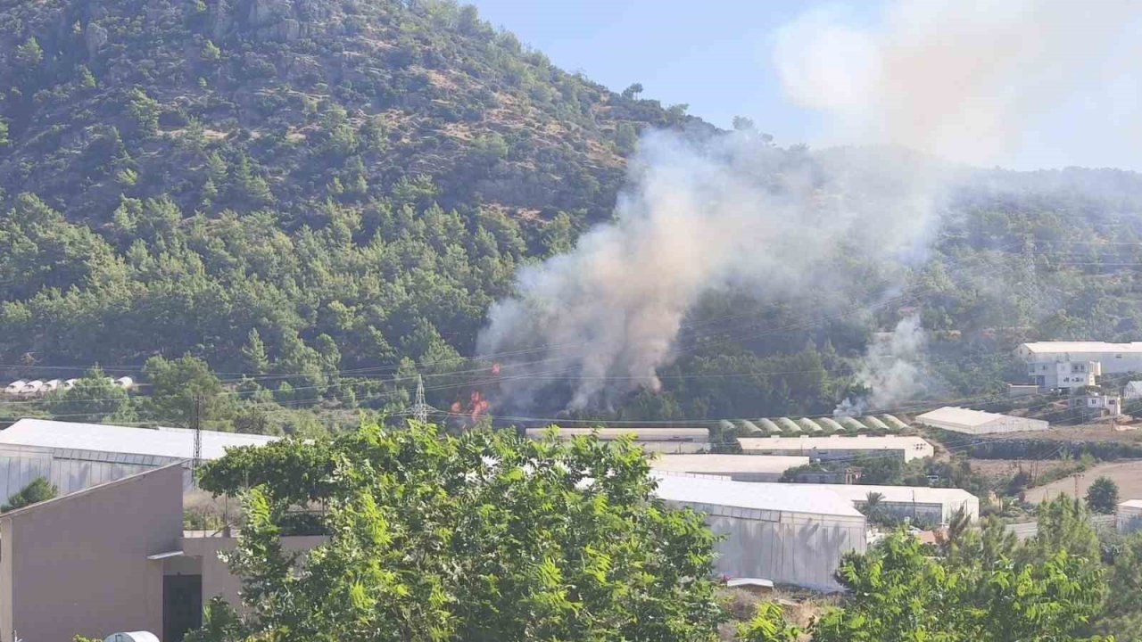 Bozyazı’da orman yangını büyümeden söndürüldü