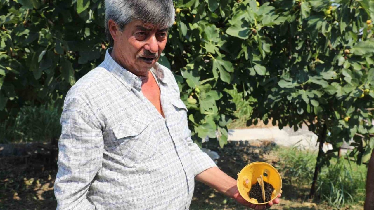 Muğla’da üreticinin emeğine çevre dostu koruma