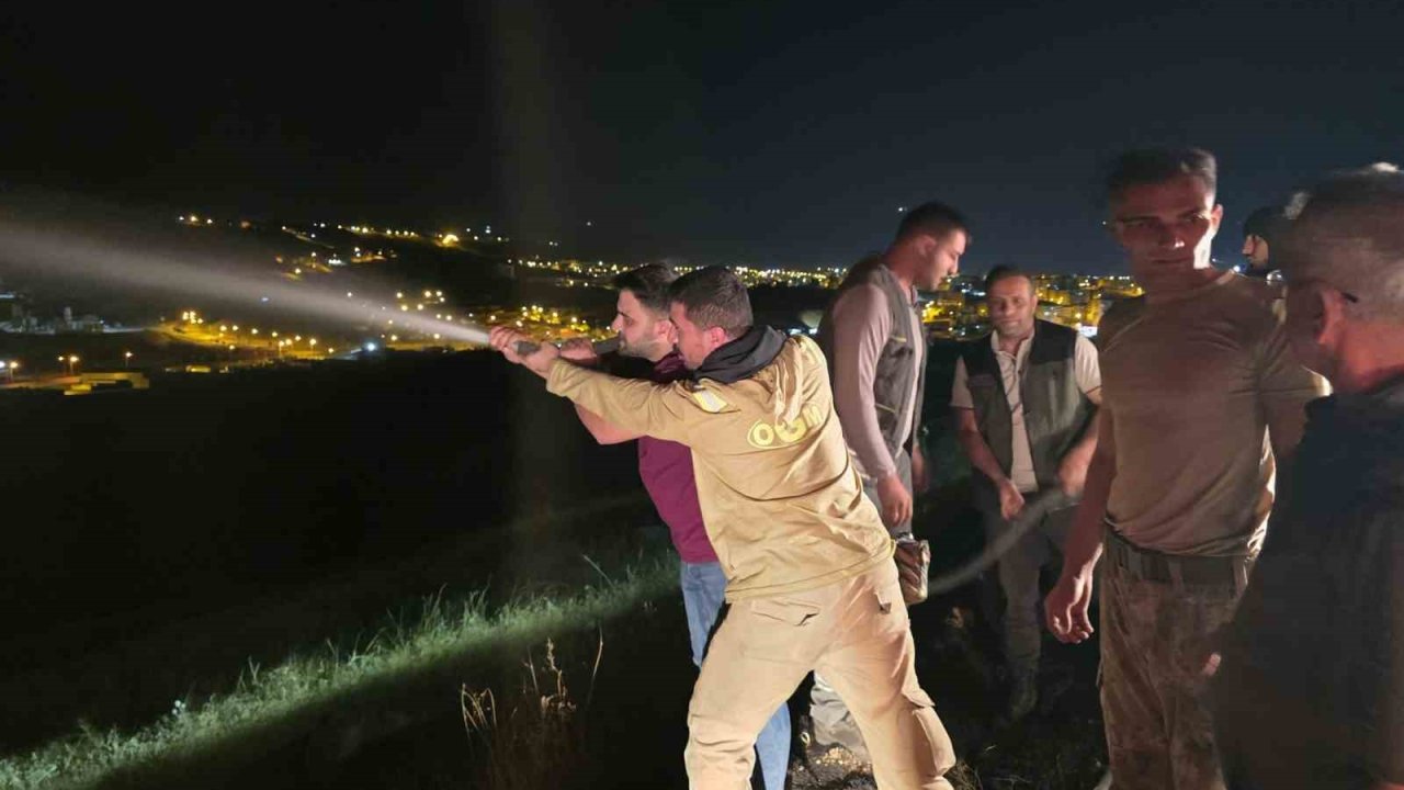 İdil’de alevlerle saatlerce mücadele: Yangın köy evlerine ulaşmadan söndürüldü