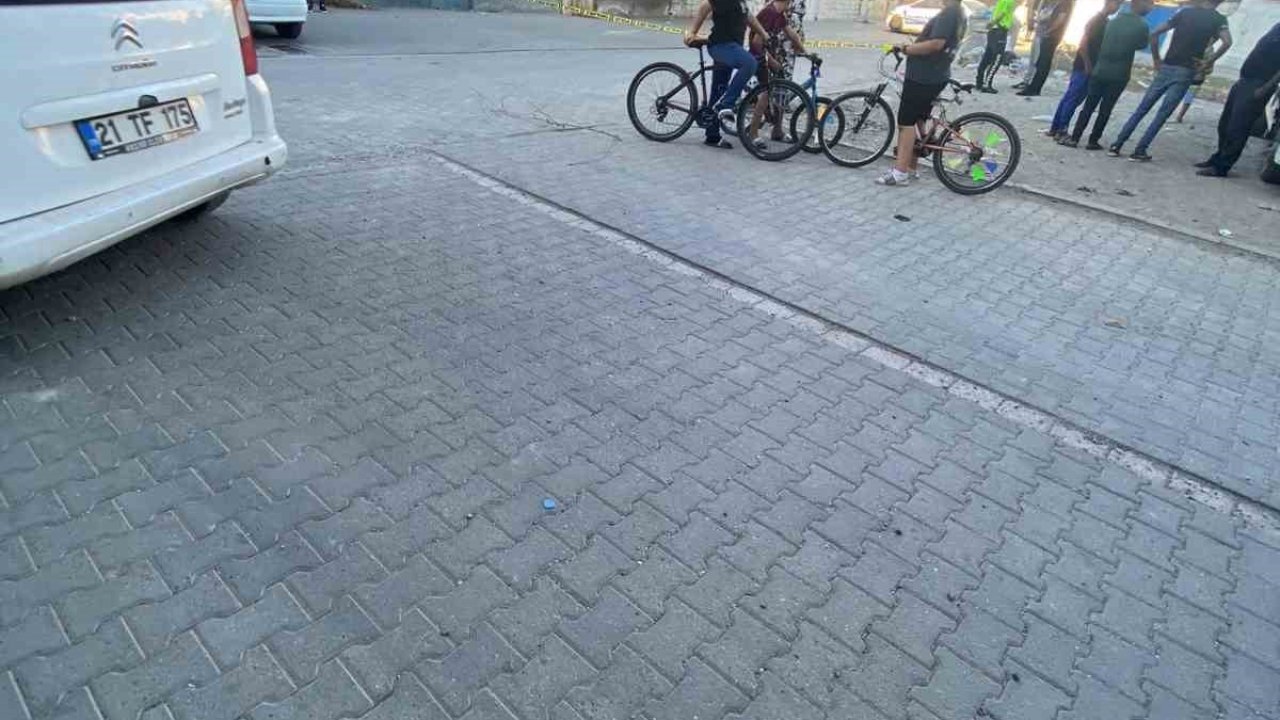 Diyarbakır’da pikabın çarptığı 6 yaşındaki çocuk hayatını kaybetti