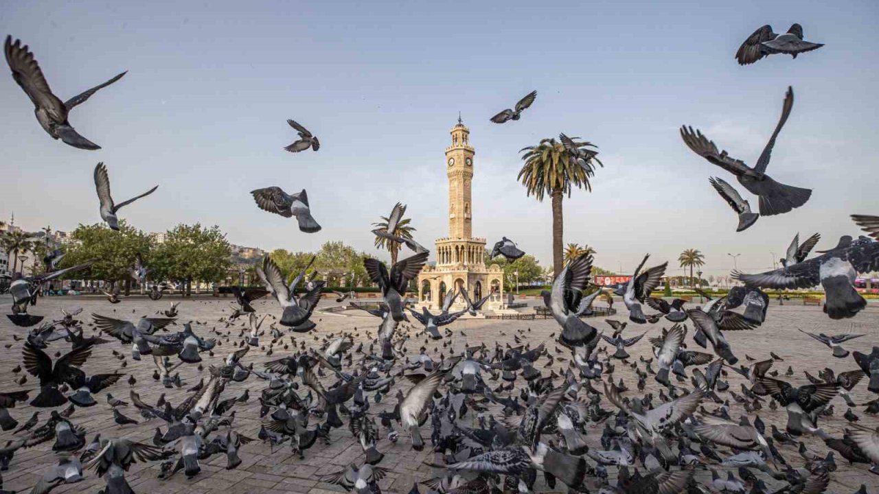 İzmir’in iklim deneyimi Avrupa’ya taşınacak