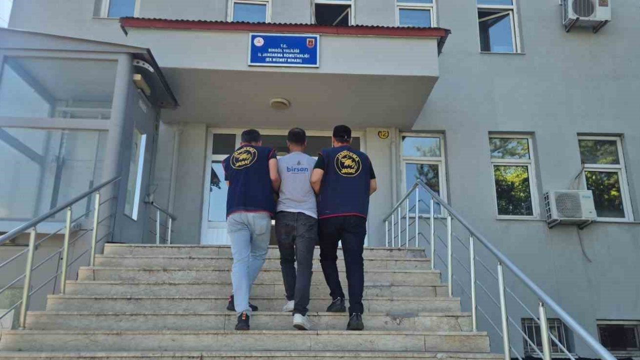 Bingöl’de 5 bin 176 kök kenevir ele geçirildi
