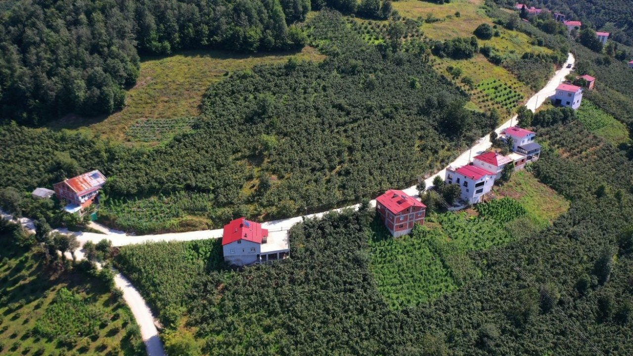Ordu’da 35 yıllık yol sorunu çözüme kavuşturuldu
