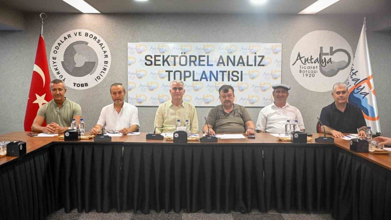 Zeytinde rekolte beklentisi yüzde 40 arttı