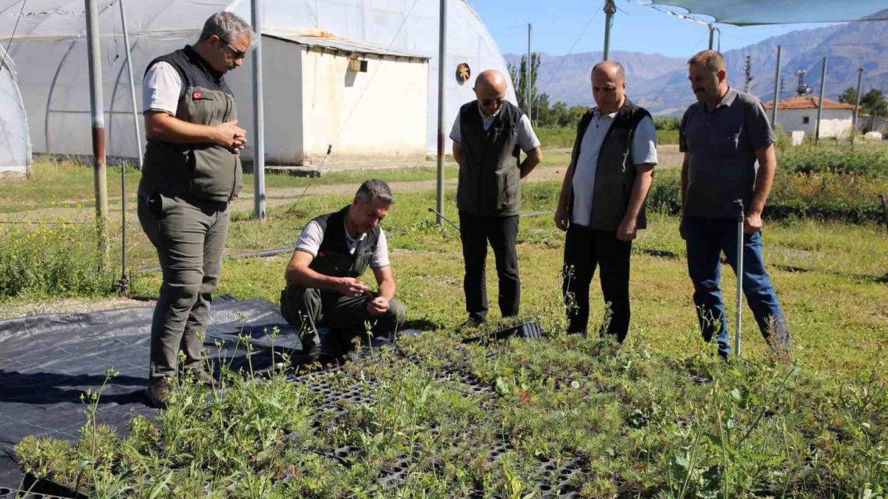 Erzincan Fidanlık Şefliğinde 2026 yılı üretim çalışmaları incelendi