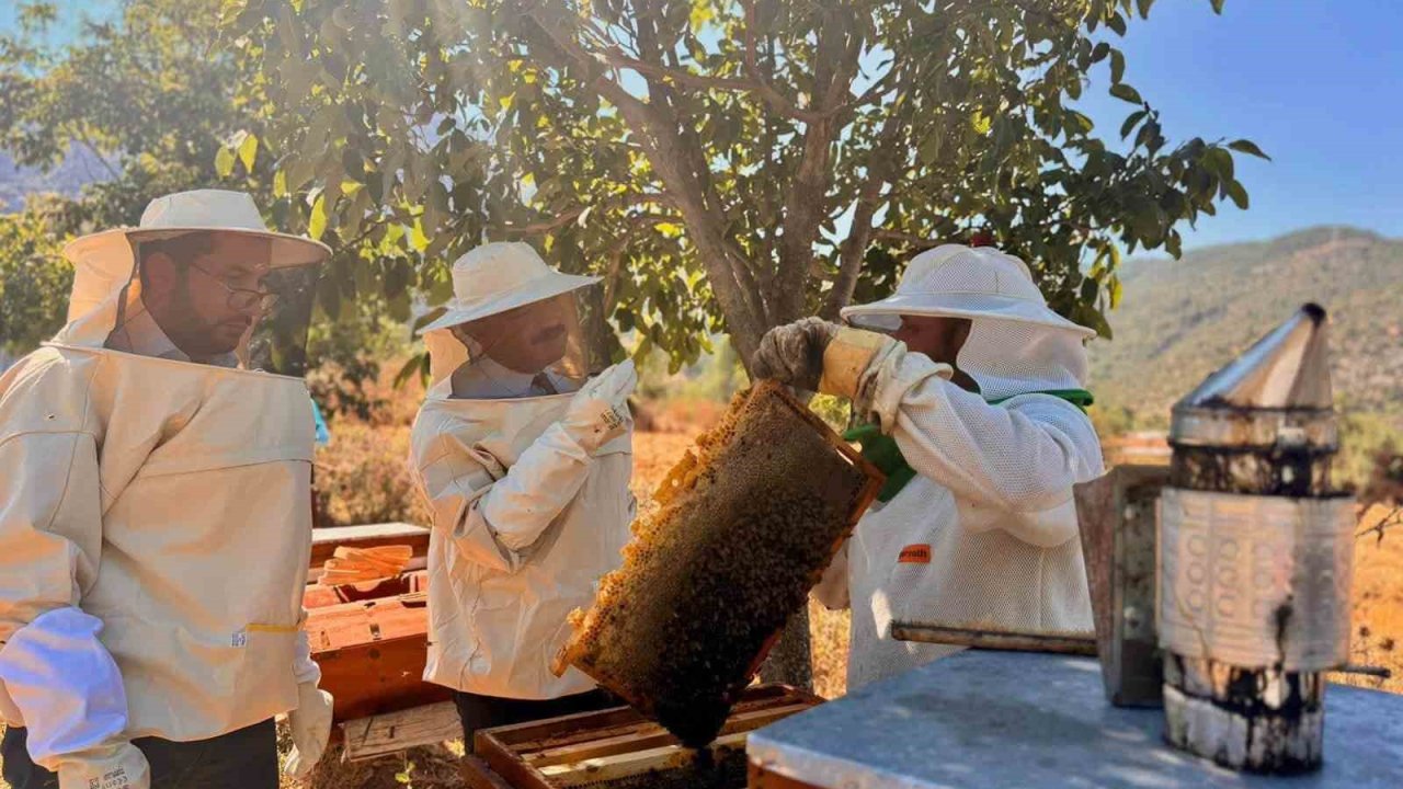 Bilecik’te 22 bin 500 kovandan 135 ton bal üretiliyor