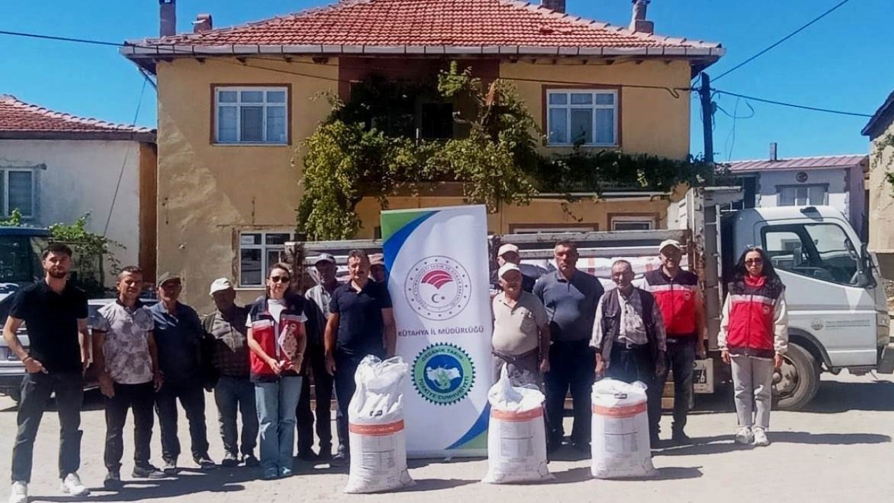 Hisarcık Karbasan köyünde organik adaçayı üreticilerine gübre desteği