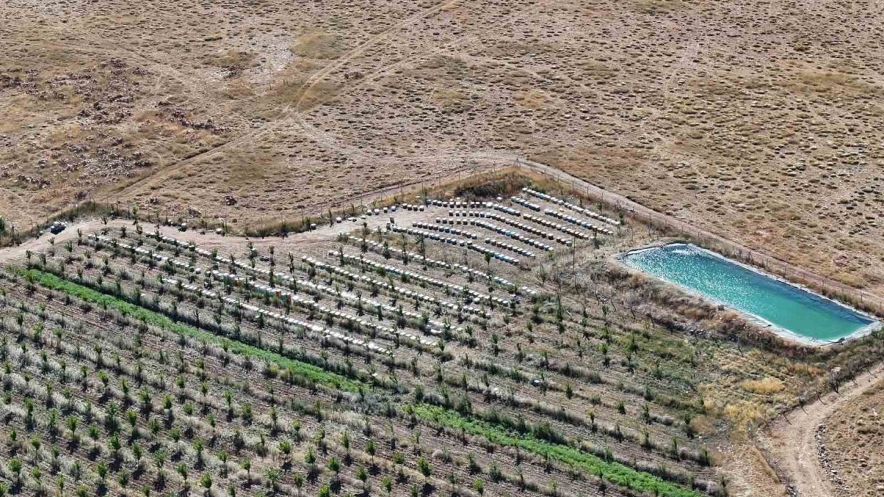Niğde’nin bin 800 rakımlı Tumlu Yaylası’nda Geven Balı bereketi