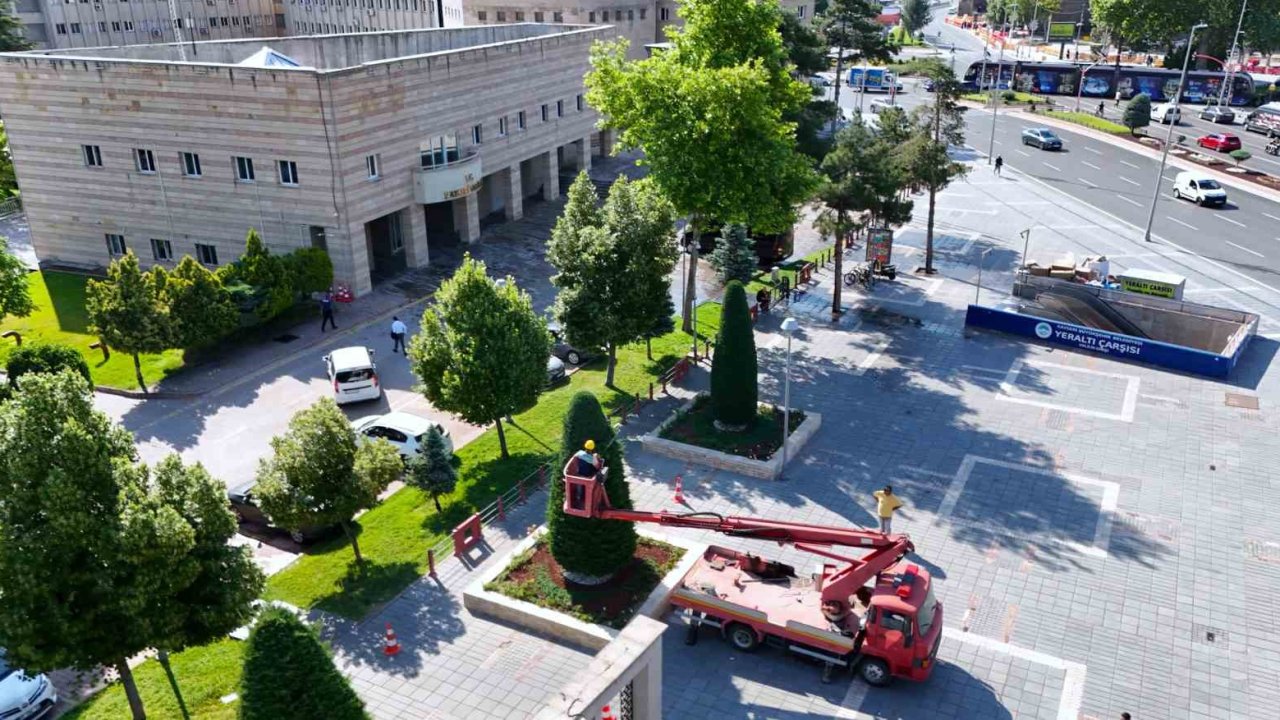 Büyükşehirden kent estetiğine titiz dokunuş: Süs bitkilerine form budaması
