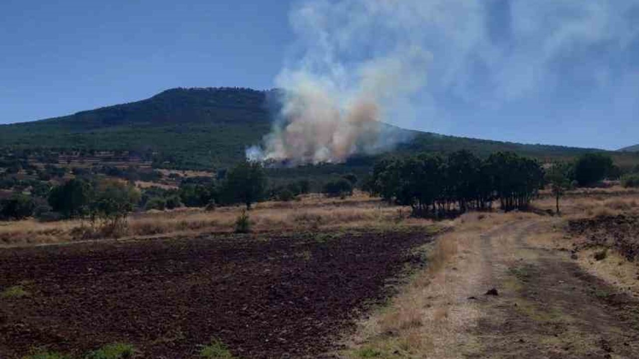 Eskişehir’de ormanlık alanda çıkan yangın kontrol altına alınmaya çalışılıyor